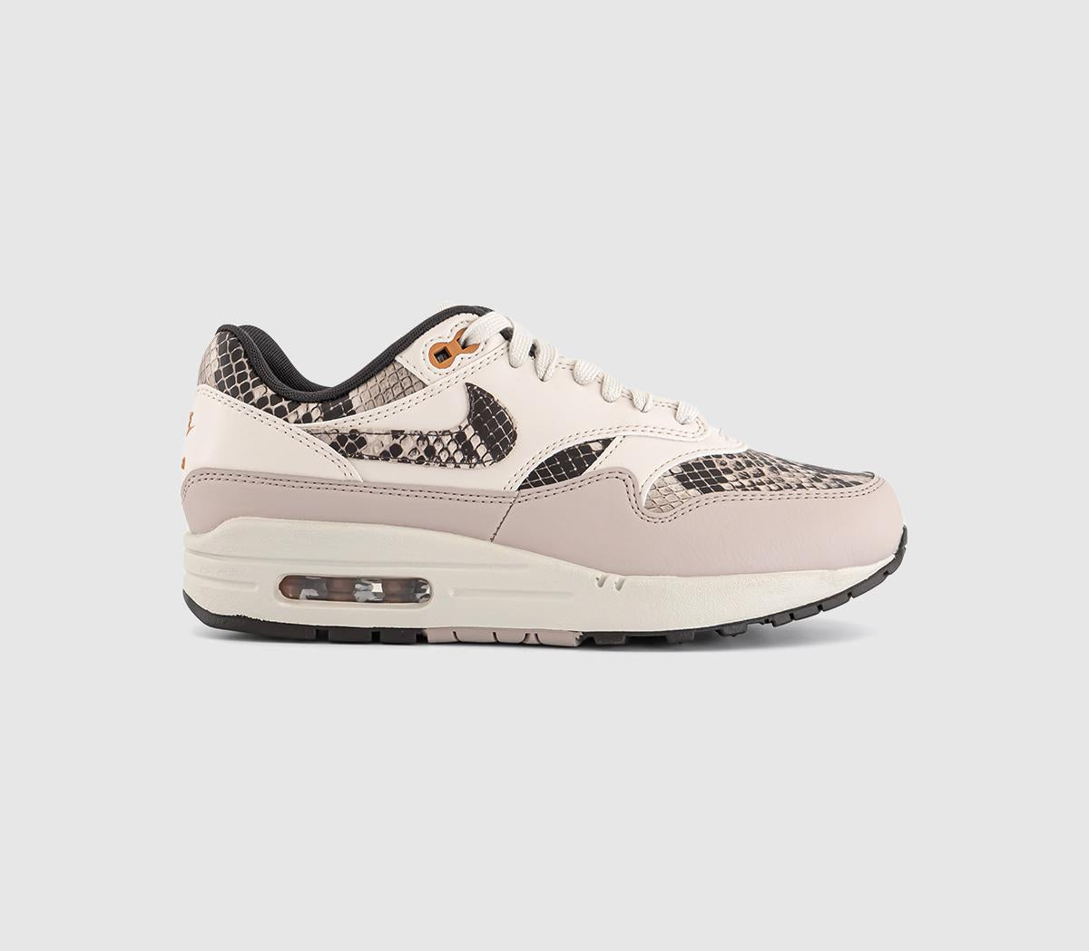 am1 trainers