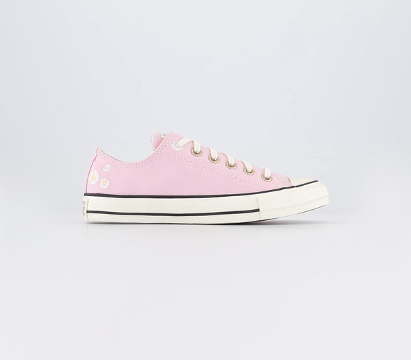 Womens Converse All Star Low Sunrise Pink Egret Sunny Oasis Daisy