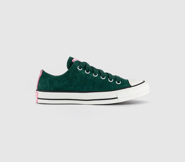 Converse All Star Low Trainers Midnight Clover Egret