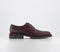 Mens Common Projects Derby Oxblood Uk Size 8