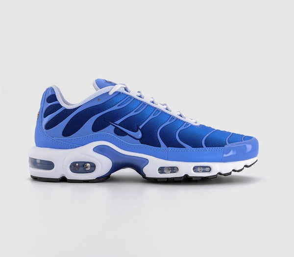 Nike Air Max Plus Trainers Blue Blue