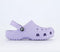 Kids Crocs Classic Clog K Lavender