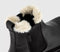 Womens OFFICE Angelica Cleated Chelsea Boots Black Leather Cream Fur Lined