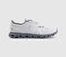 ON Cloud 6 Trainers Wolf Rock