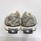 Converse All Star Ox 70 S Pale Surplus Egret Black
