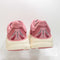 HOKA Bondi 9 Trainers Lingonberry Cranberry F