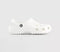 Womens Crocs Classic Clog White UK Size 5