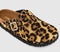 Womens 1774 BIRKENSTOCK Boston Pony Hair Clogs Leopard