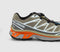 Salamon Xt-6 Silver Sage Cloudburst Dragon Fire