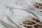 Womens Office Seaside Ombre Toe Post Sandal White Leopard